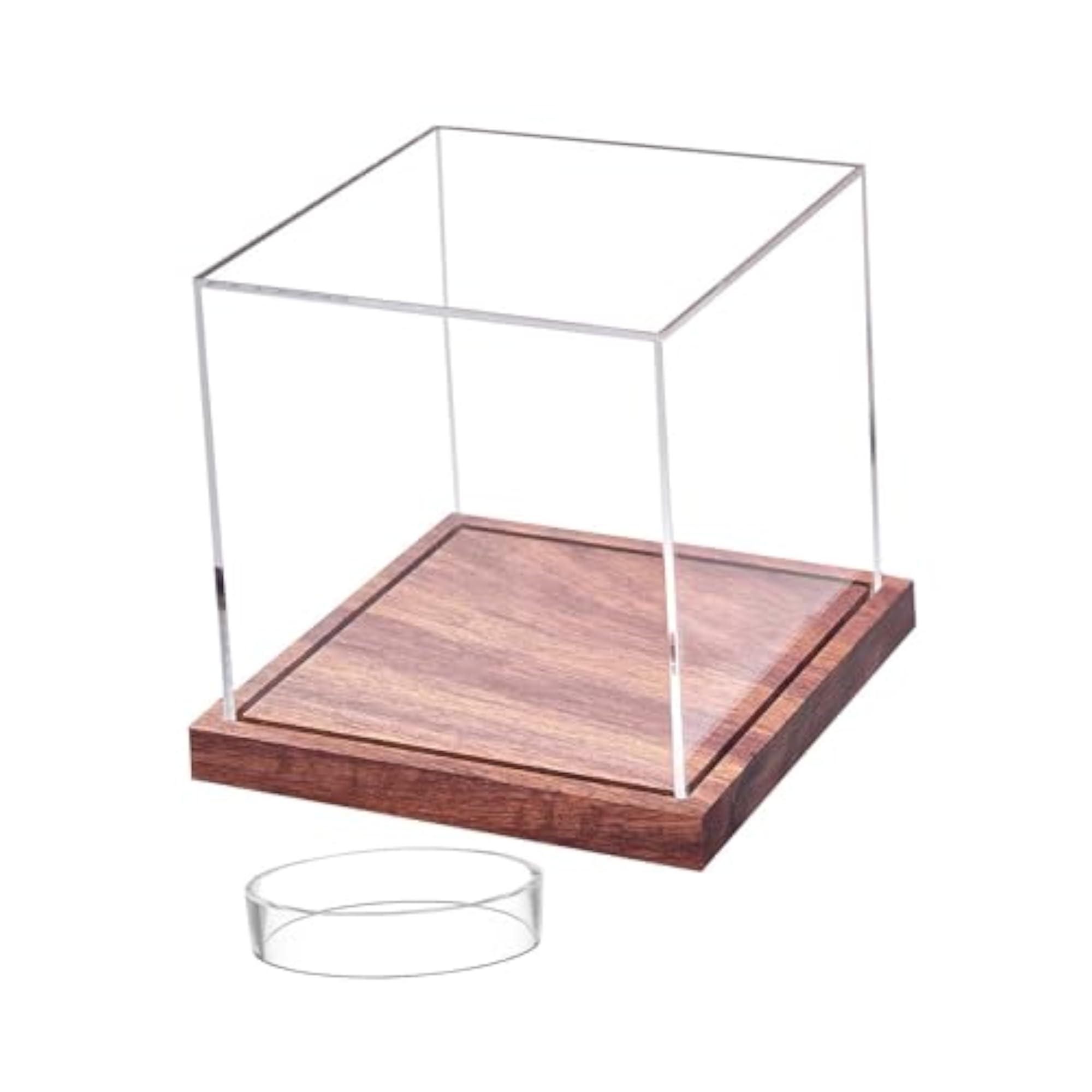 Portable Acrylic Baseball Display Case